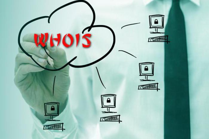 WHOIS: Domaininformasjon